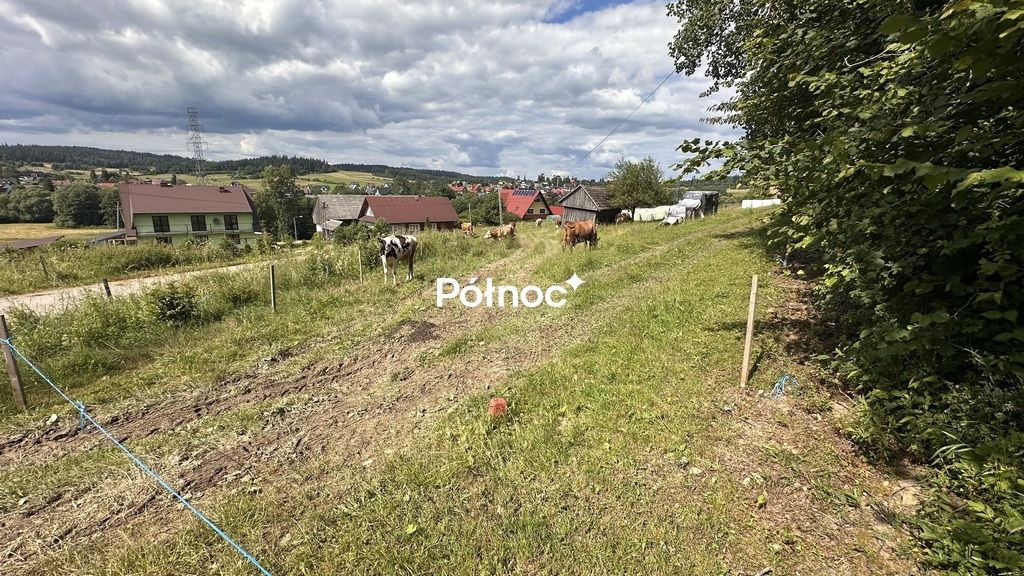 Działka budowlana Podwilk. Zdjęcie 1