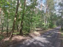 Działka leśna Czerwonka-Gozdów. Zdjęcie 1