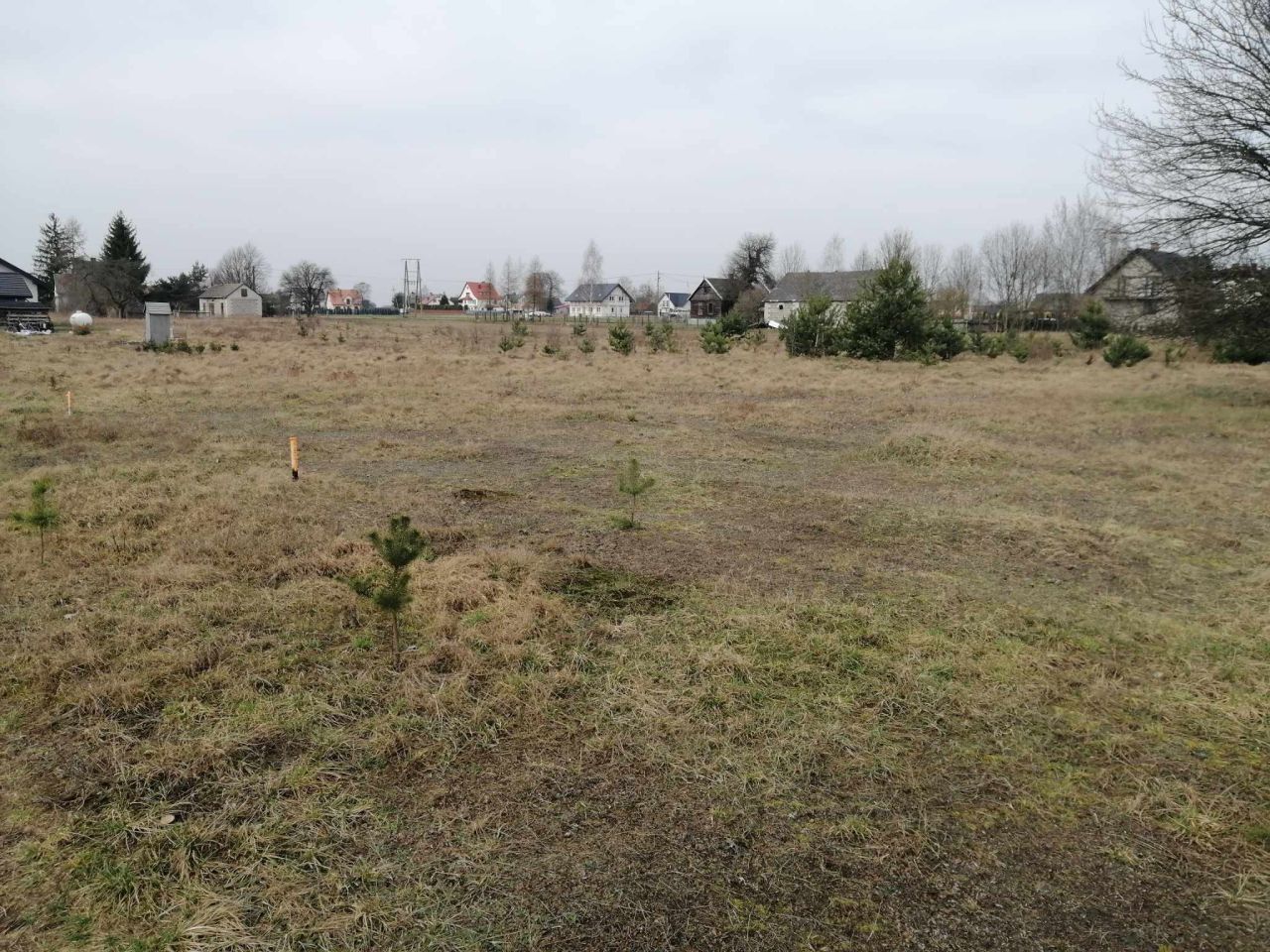 Działka budowlana Porządzie Porządzie-Kolonia. Zdjęcie 11