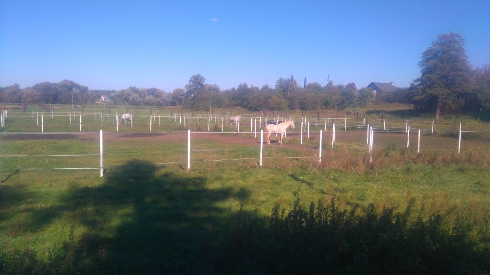 Działka budowlana Wilcza Wólka, ul. Grójecka. Zdjęcie 6