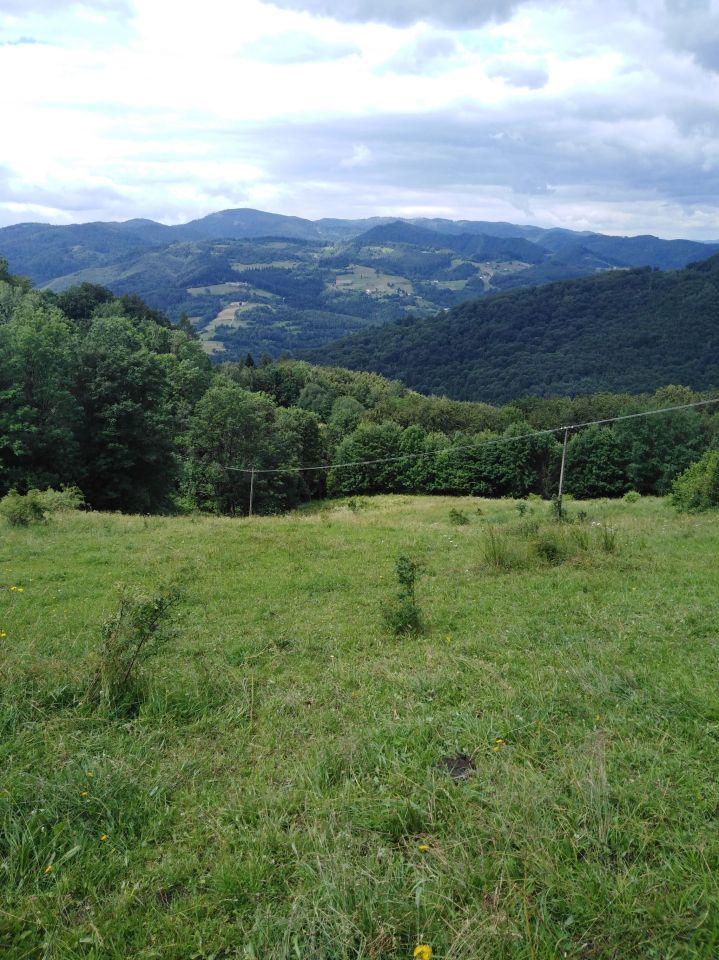 Działka rolna Kokuszka Gronik. Zdjęcie 4