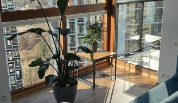 Mieszkanie 3-pokojowe Warszawa Bielany, ul. Wólczyńska