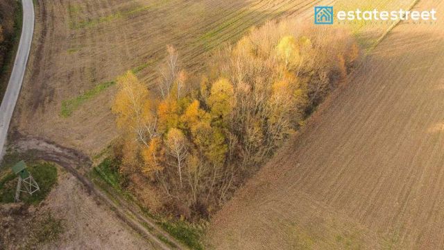 Działka rolna Wybrzeże. Zdjęcie 5