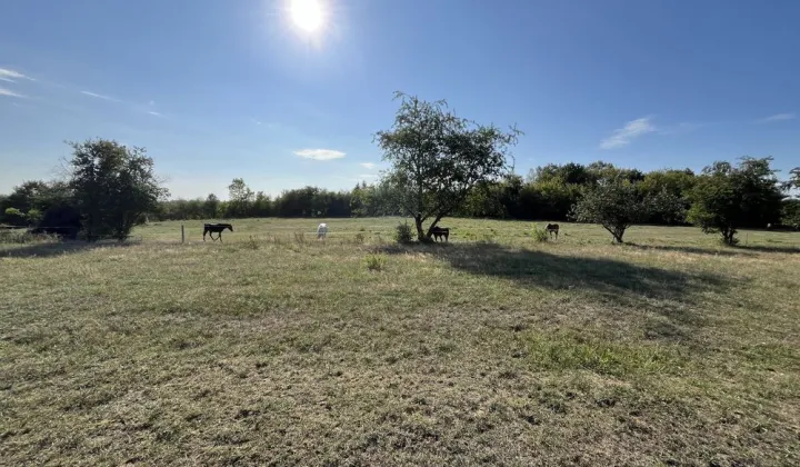 Działka budowlana Łódź Widzew, ul. Padokowa