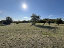 Działka budowlana Łódź Widzew, ul. Padokowa