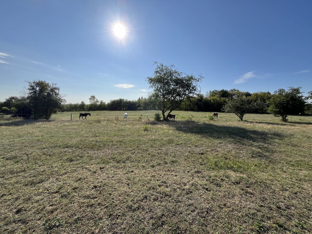 Działka budowlana Łódź Widzew, ul. Padokowa