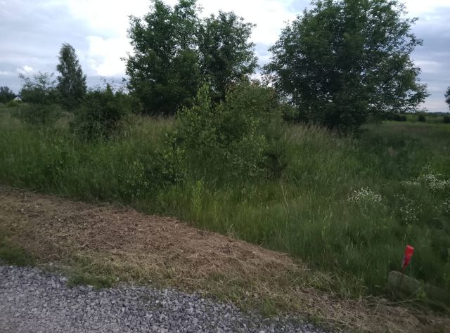 Działka rolno-budowlana Kozienice, ul. Księżycowa. Zdjęcie 7