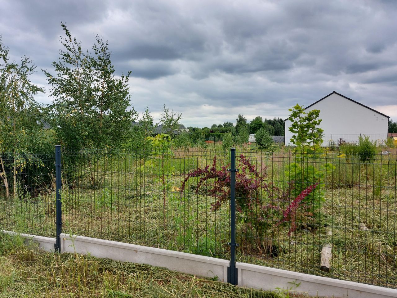 Działka budowlana Radzewice, ul. Bławatkowa. Zdjęcie 3