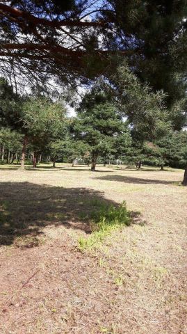 Działka budowlana Siechnice. Zdjęcie 8