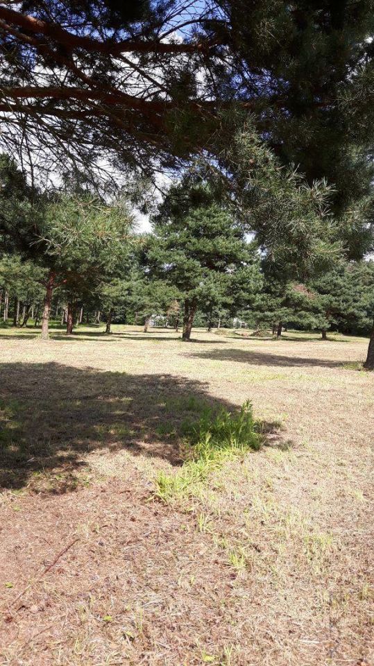 Działka budowlana Siechnice. Zdjęcie 8