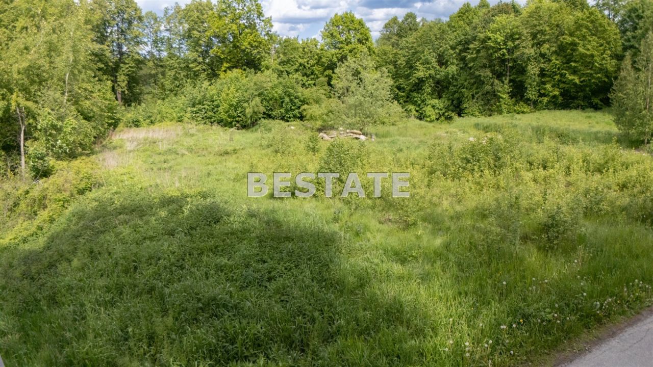 Działka leśna Szynwałd. Zdjęcie 6