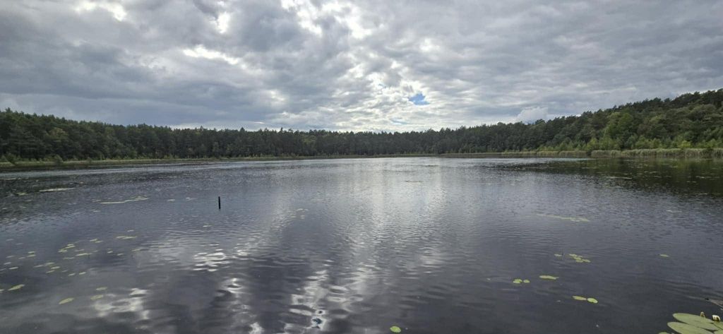Działka rolna Linówek. Zdjęcie 5