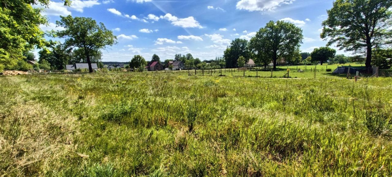 Działka budowlana Złotnik. Zdjęcie 4