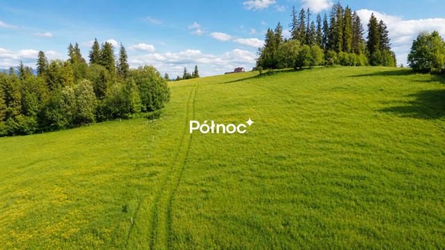 Działka rolna Gliczarów Dolny. Zdjęcie 3