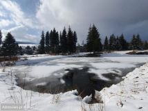 Działka rekreacyjna Piaskowice. Zdjęcie 4