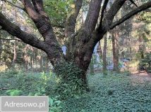 Działka rekreacyjna Popowo-Parcele, ul. Brzozowa. Zdjęcie 1