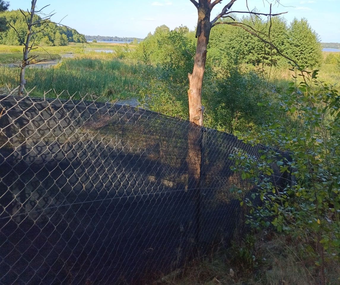 Działka rekreacyjna Barkowice, ul. Spacerowa. Zdjęcie 4