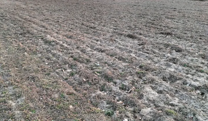 Działka budowlana Wolanów, ul. Szkolna