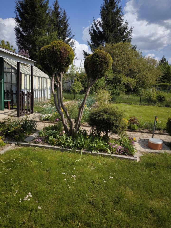 Działka rod Świdnica, ul. Deszczowa. Zdjęcie 9