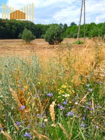 Działka budowlana Mrozy. Zdjęcie 10