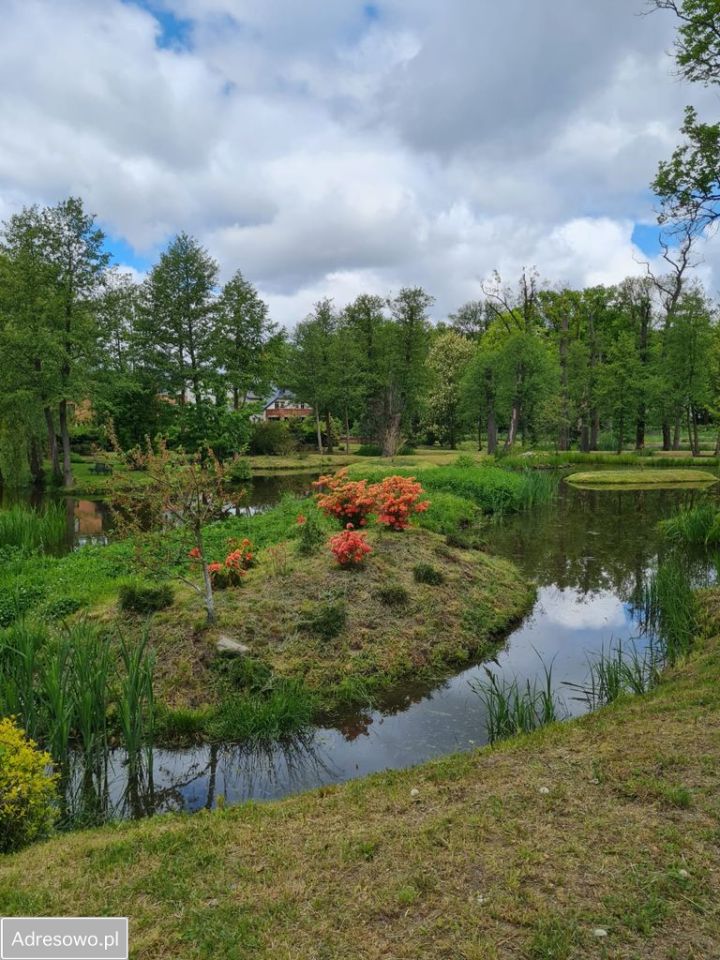 Mieszkanie 2-pokojowe Skarbimierzyce. Zdjęcie 6