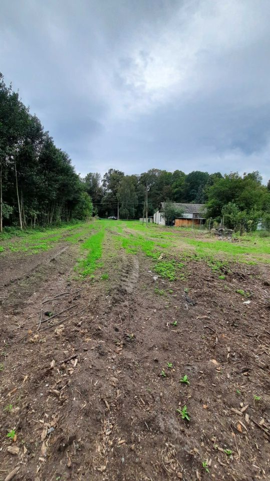 Działka rolno-budowlana Arkadia. Zdjęcie 2