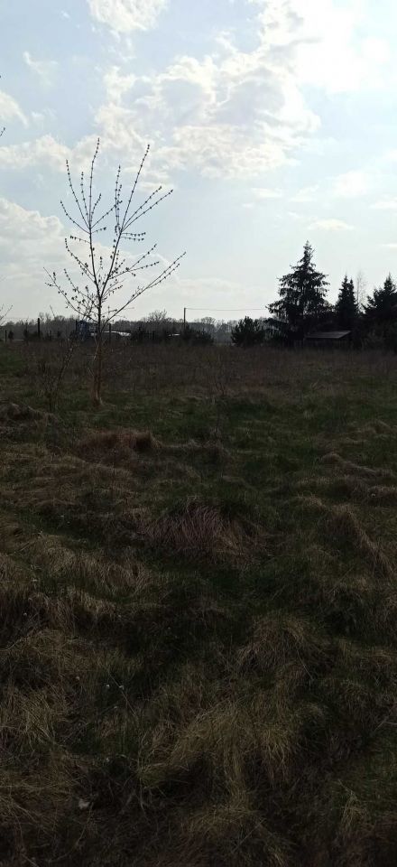 Działka rekreacyjna Brzóze Małe. Zdjęcie 3