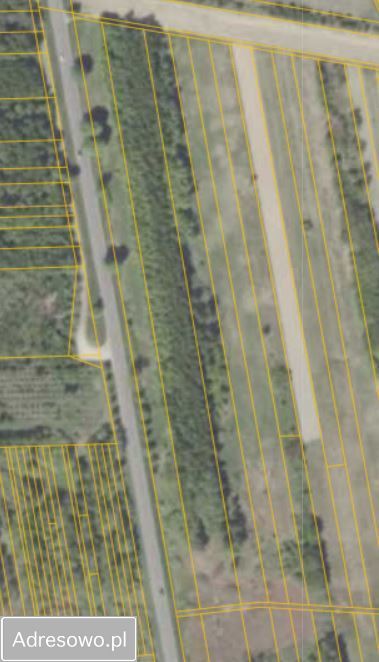 Działka rolna Sokołówka. Zdjęcie 5