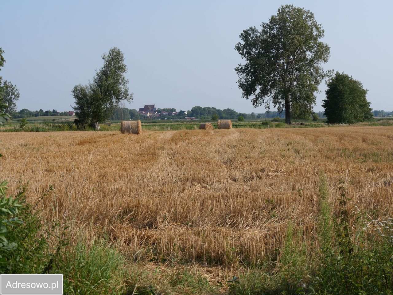 Działka rolno-budowlana Sielec. Zdjęcie 10