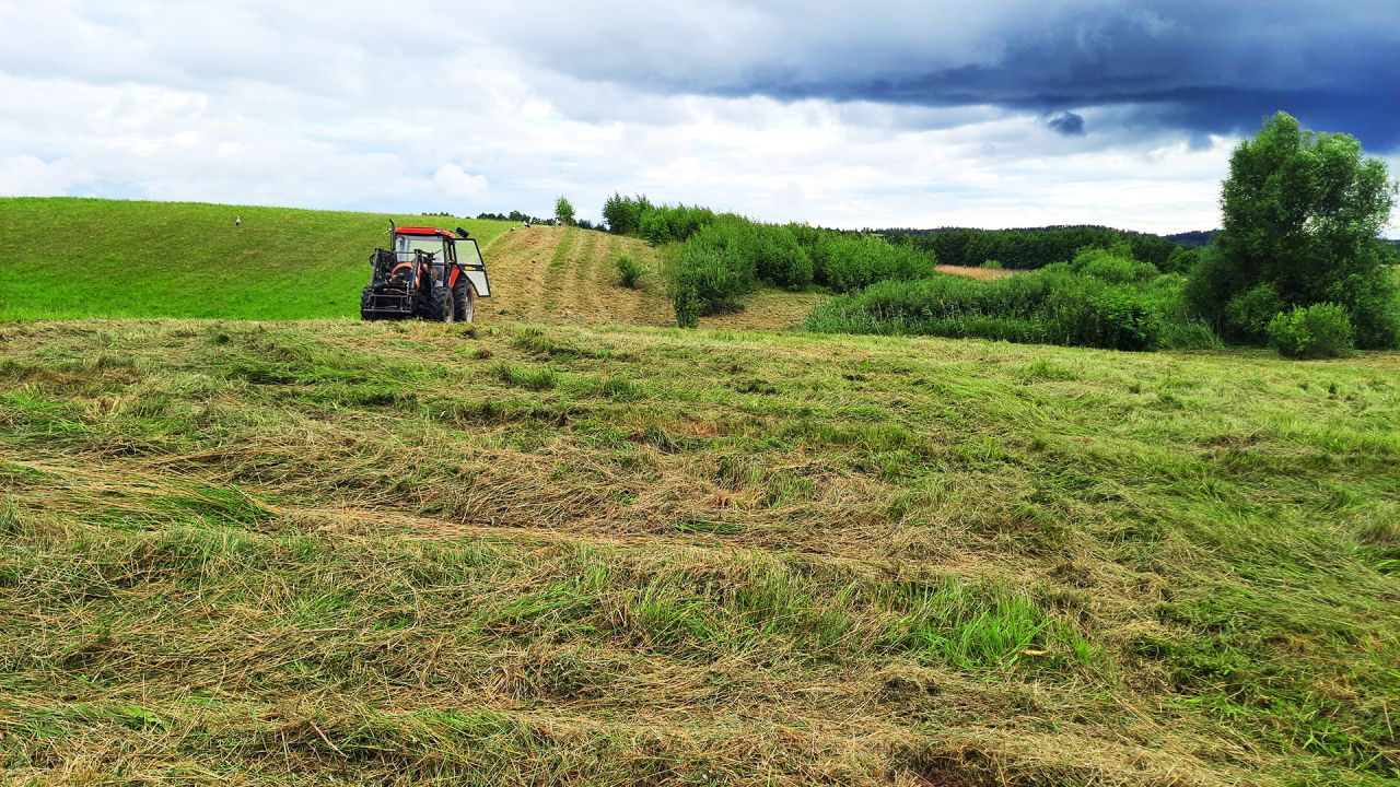 Działka budowlana Żabin. Zdjęcie 4