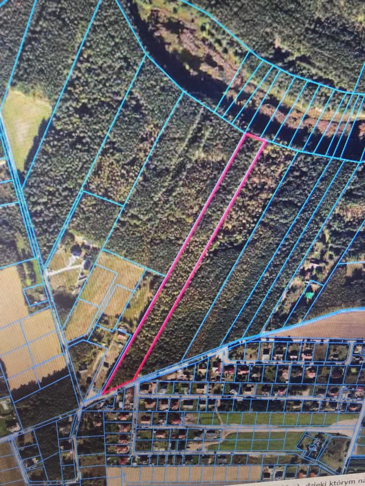 Działka leśna Młyniec Drugi. Zdjęcie 5