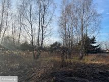 Działka inwestycyjna Żurawiniec. Zdjęcie 1