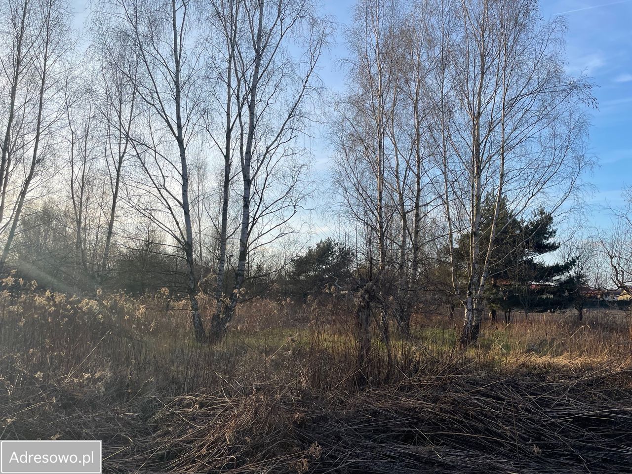 Działka inwestycyjna Żurawiniec. Zdjęcie 2