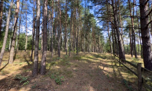 dom wolnostojący, 5 pokoi Łąski Piec. Zdjęcie 32