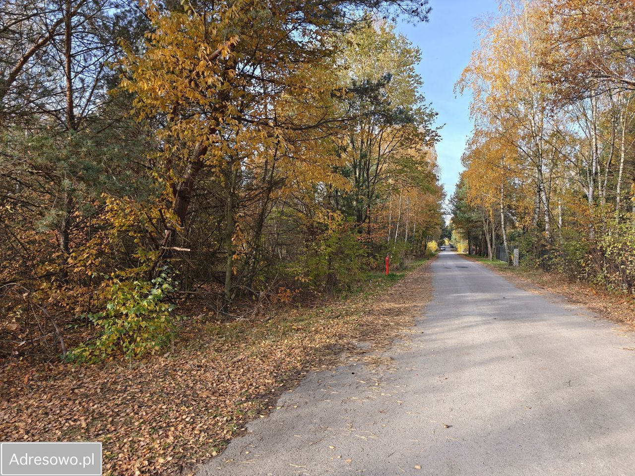 Działka budowlana Stare Skoszewy. Zdjęcie 5