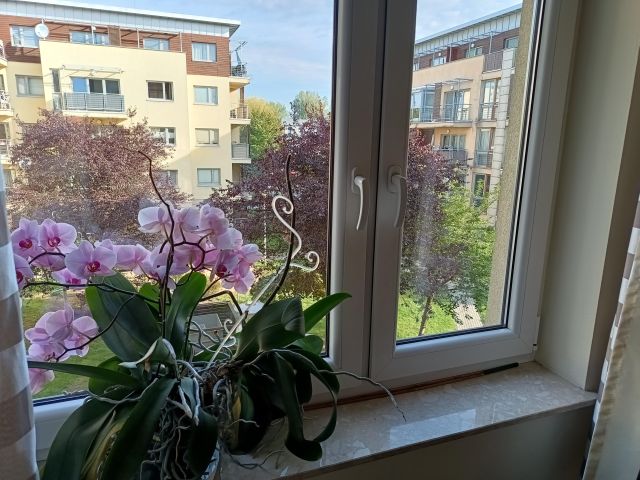 Mieszkanie 3-pokojowe Katowice Brynów, ul. Władysława Orkana. Zdjęcie 20