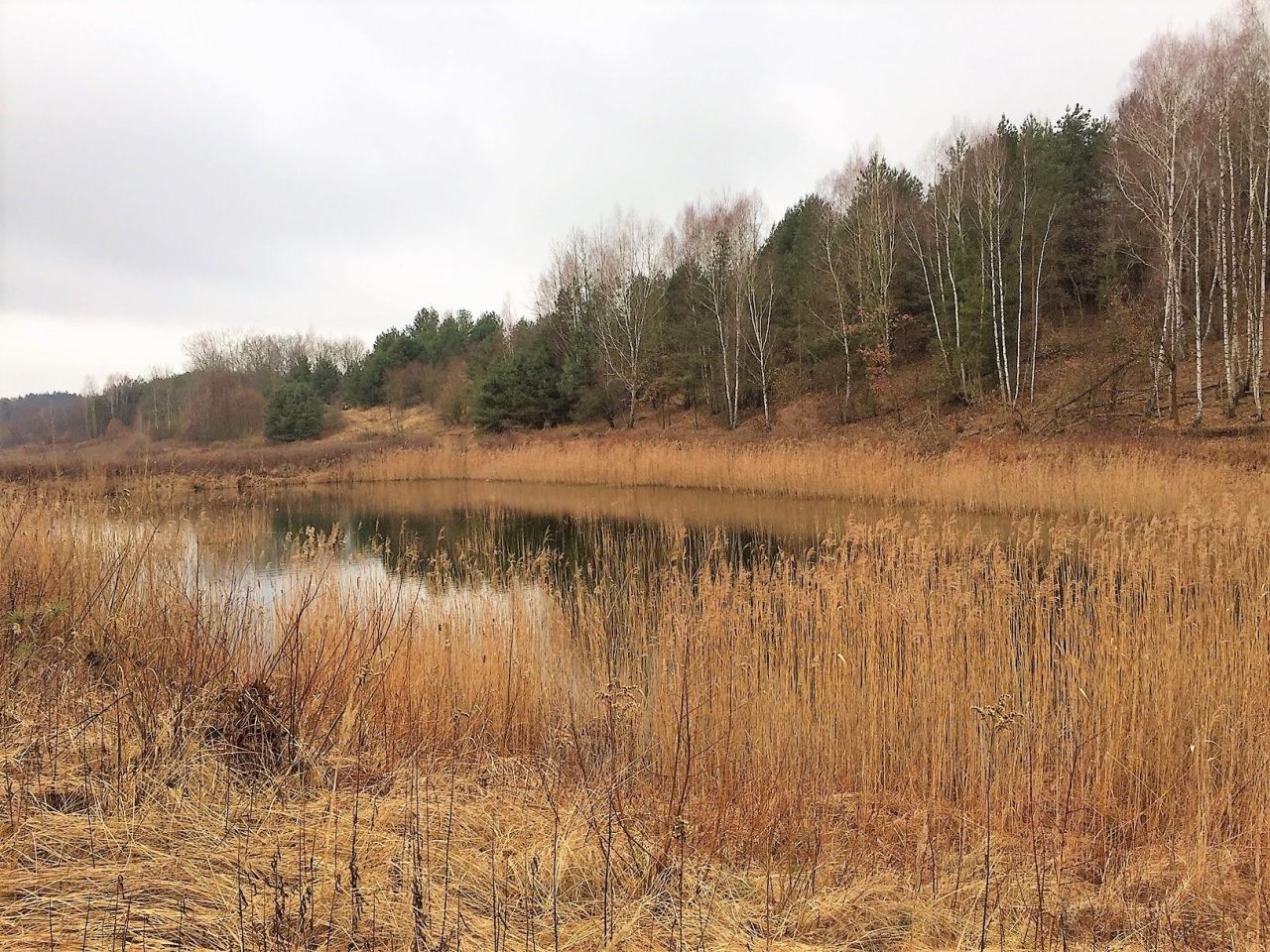 Działka budowlana Pinino. Zdjęcie 12