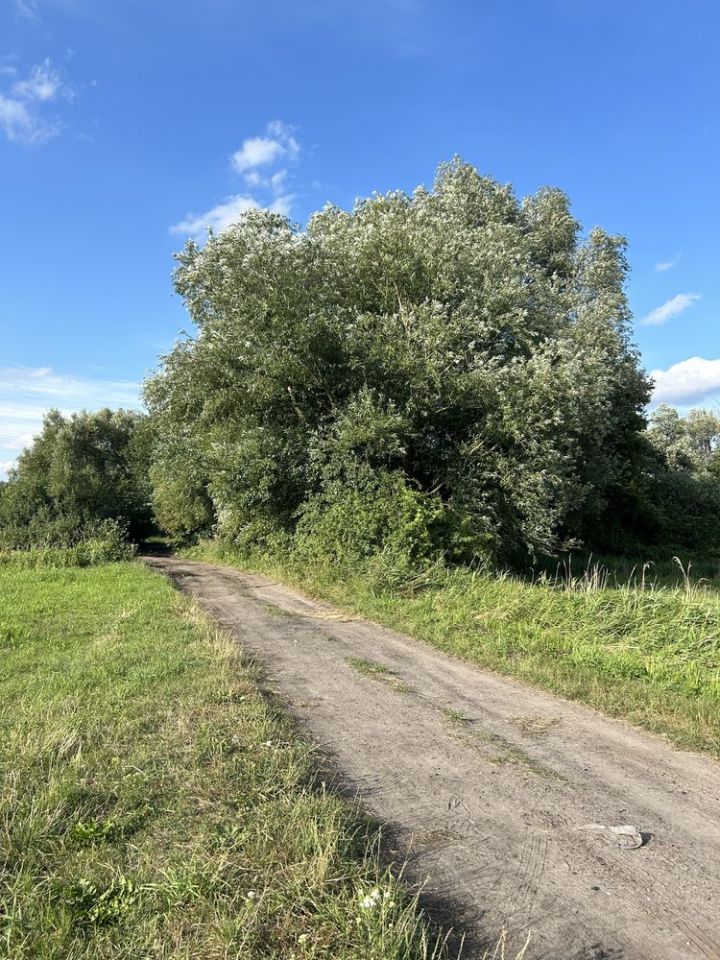 Działka rolna Ozorków, ul. Ogrodowa