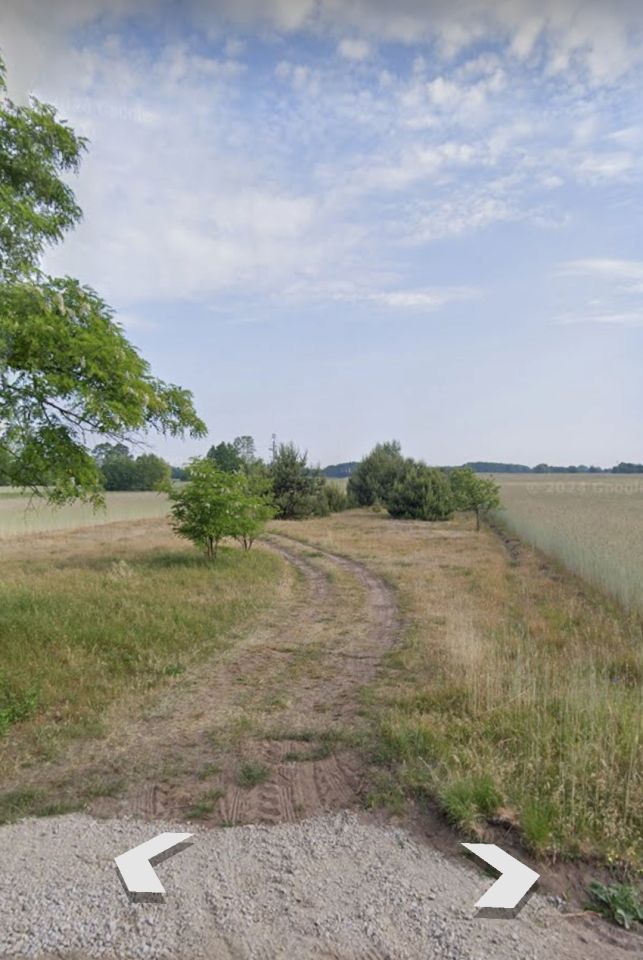 Działka rolno-budowlana Poddębice. Zdjęcie 3