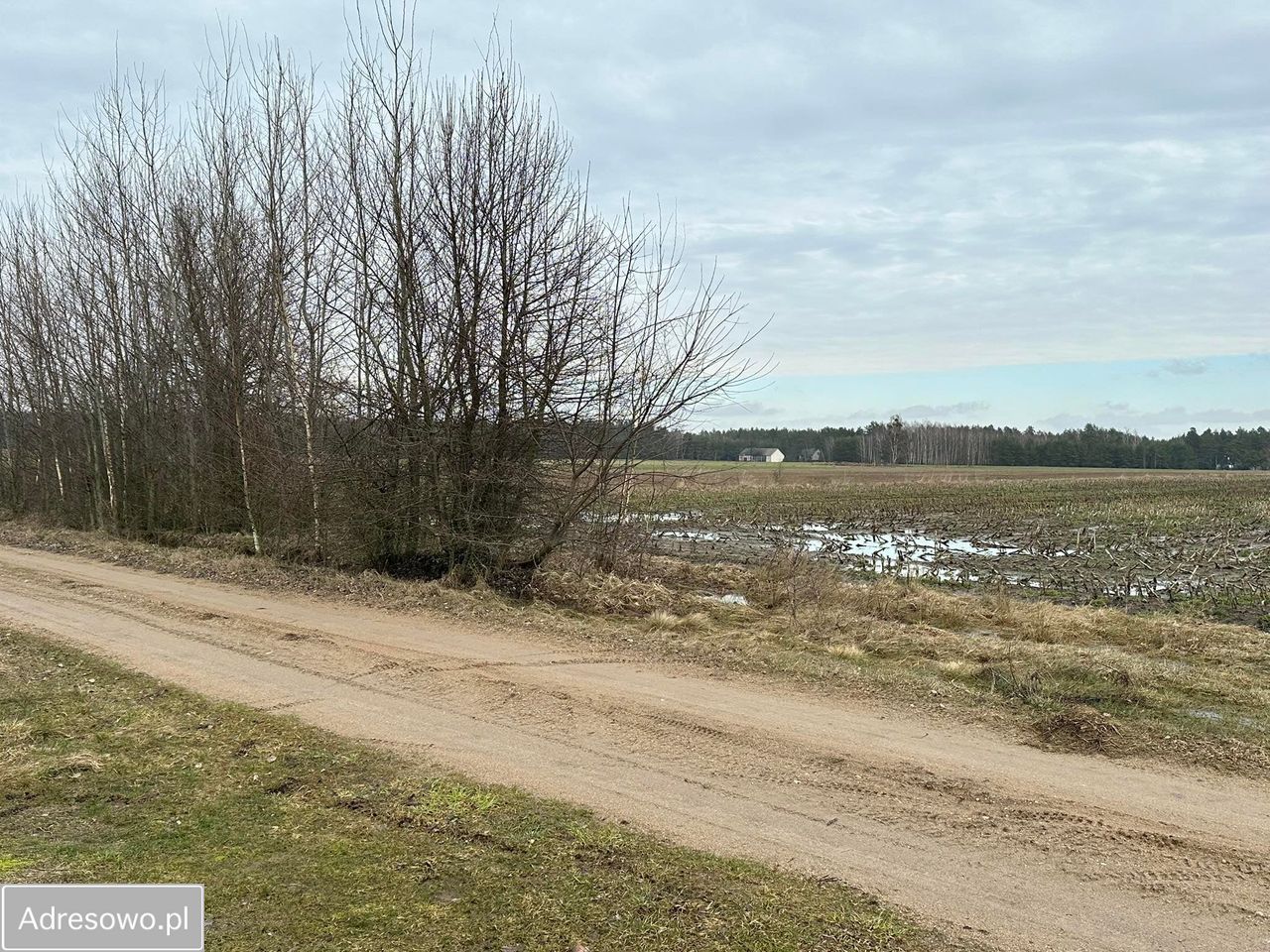 Działka budowlana Myszyniec Stary. Zdjęcie 1