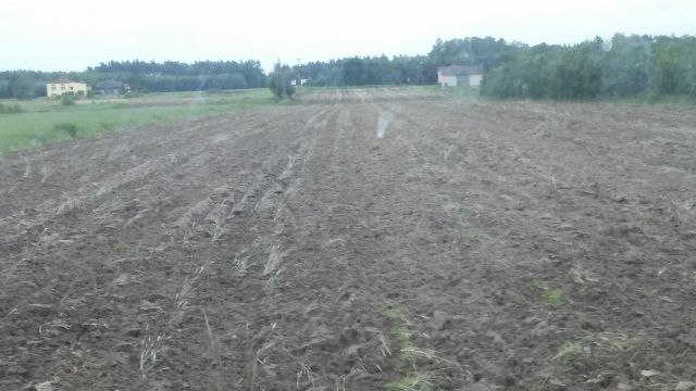 Działka rolno-budowlana Nowe Kozuby. Zdjęcie 1