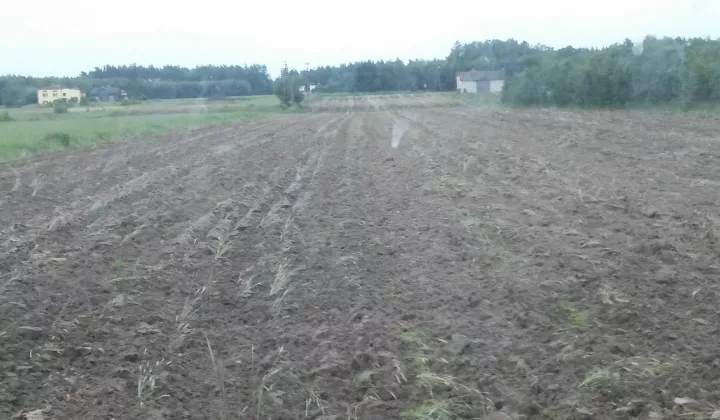Działka rolno-budowlana Nowe Kozuby