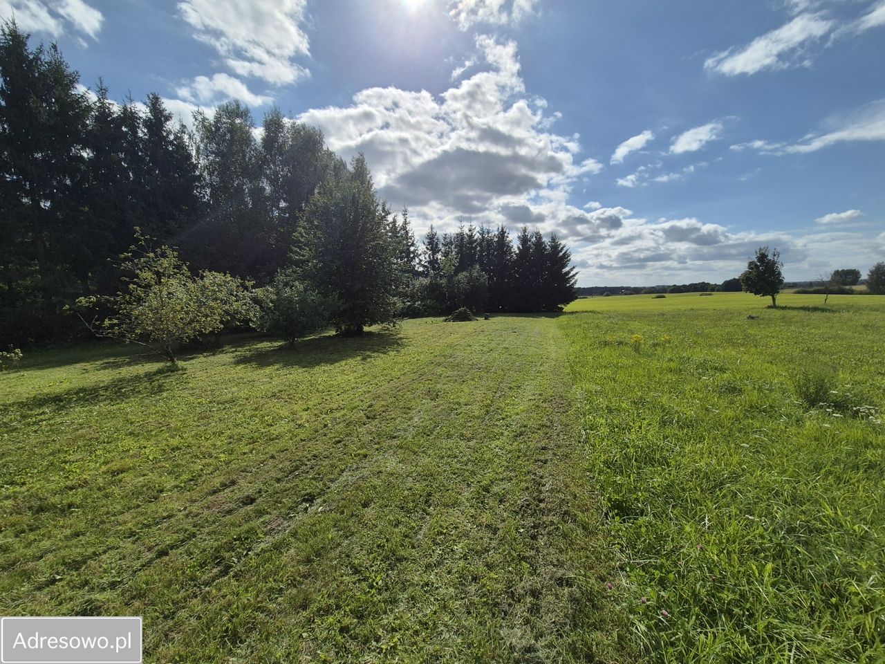 dom wolnostojący, 3 pokoje Żabin. Zdjęcie 16