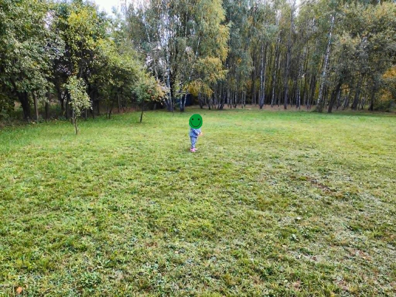 Działka rolno-budowlana Dobra-Nowiny. Zdjęcie 3