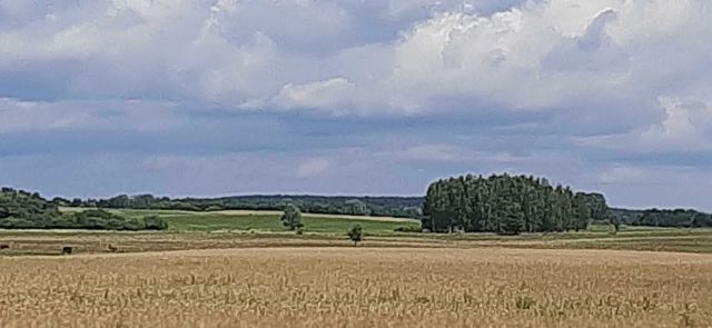 Działka rolno-budowlana Zdory. Zdjęcie 1