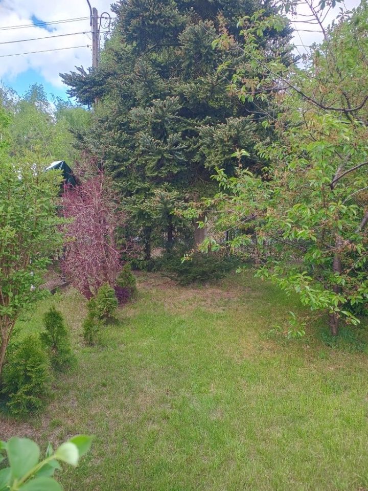 Działka rod Nowe Dąbie. Zdjęcie 6