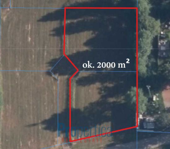 Działka budowlana Wierzbica. Zdjęcie 1