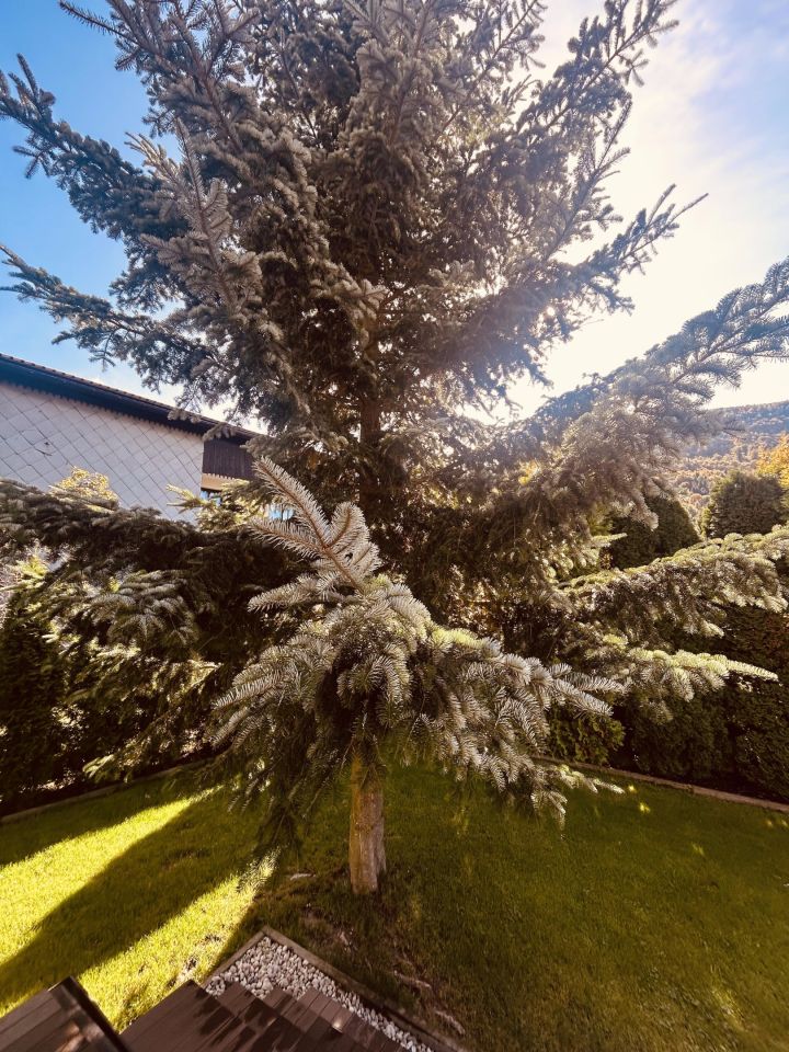 dom wolnostojący, 5 pokoi Brenna Bukowa, ul. Armii Krajowej. Zdjęcie 4