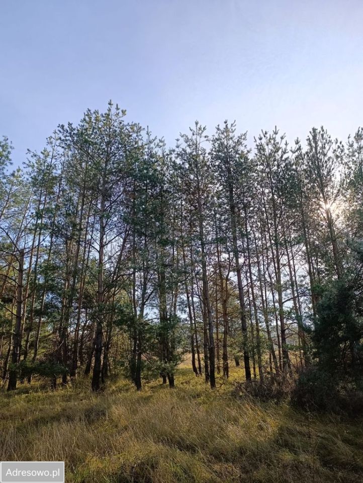 Działka budowlana Nowiny. Zdjęcie 5