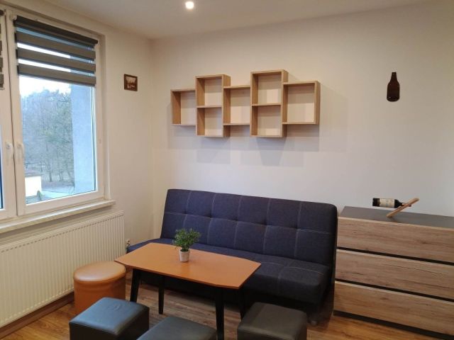 Mieszkanie 1-pokojowe Rybnik Boguszowice, ul. Patriotów. Zdjęcie 1